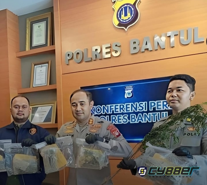 Polres Bantul Berhasil Temukan Lahan Ganja 3 Hektar di Aceh