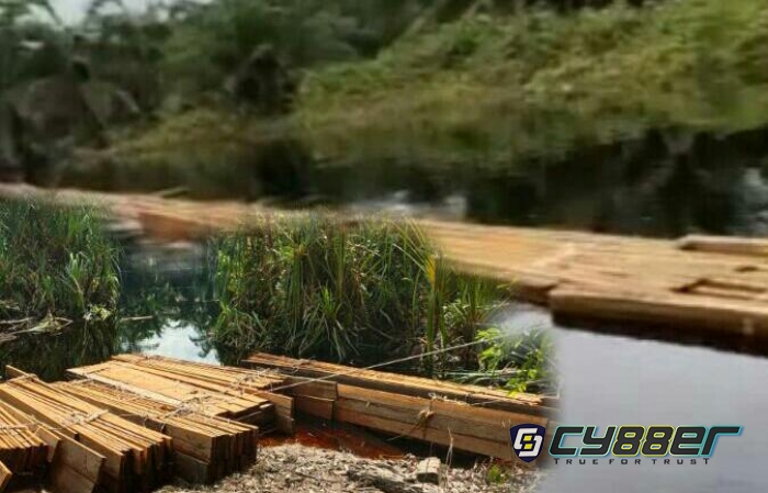 Illegal Logging di Hutan Konservasi Giam, Salamba Desak Gakum KLHK Ambil Tindakan