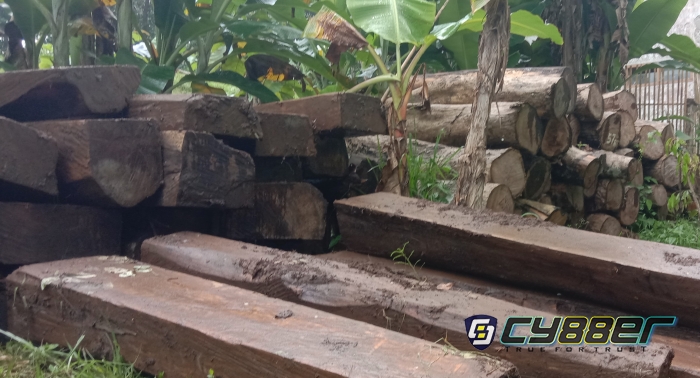 Pelaku Illegal Logging di BKPH Banjar Selatan Mulai Terkuak, Ini Fakta yang Ditemukan