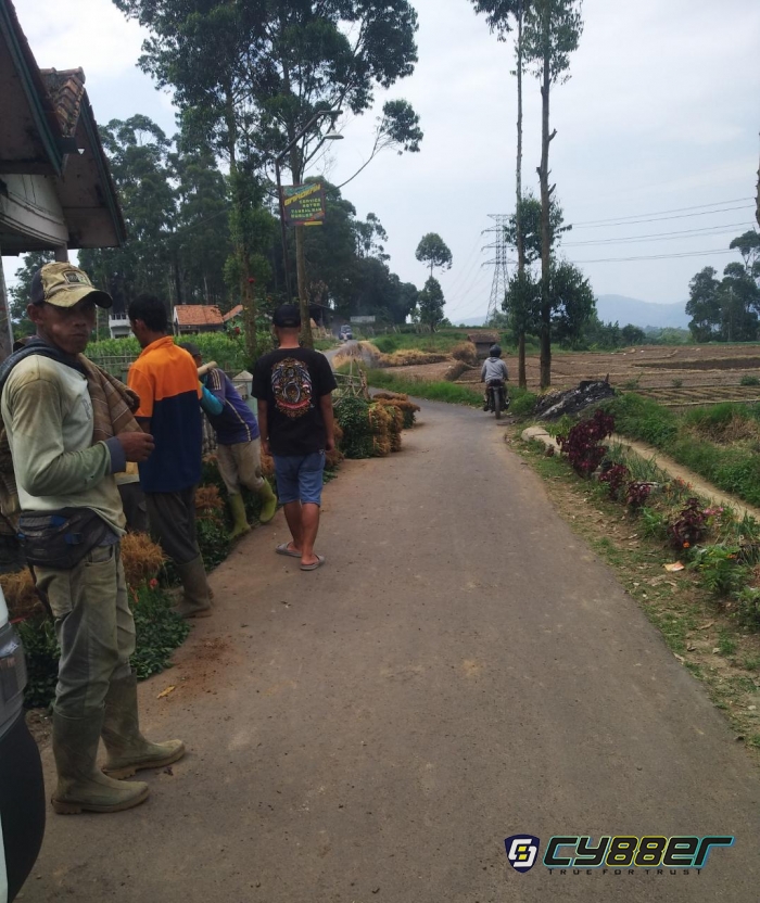 Babakan Lampit Rancagede Ciwidey Akses Jalan Warga Angkut Hasil Tani   