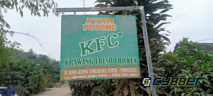 Banyak Warga Keluhkan Aroma Bau Busuk Limbah Ayam Potong di Aliran Persawahan Mereka