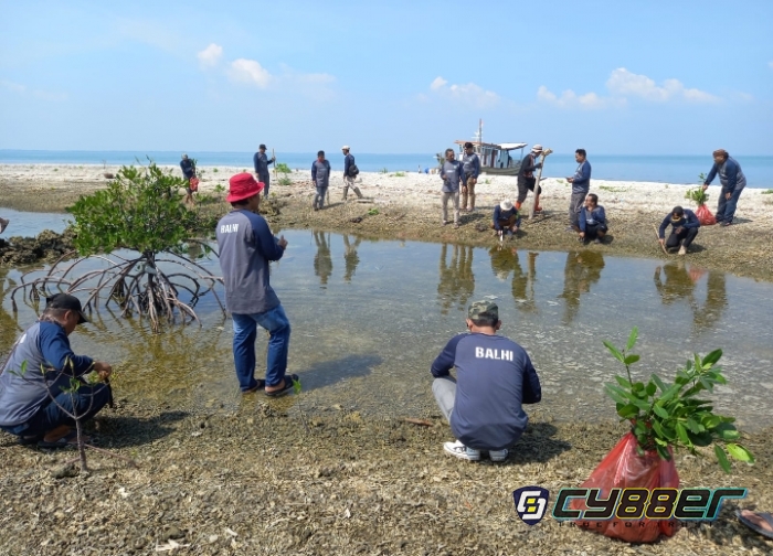 BALHI Peringati Hari Lingkungan Hidup Sedunia Dengan Giat Penanaman  Mangrove di Pulau Konservasi Pamujan