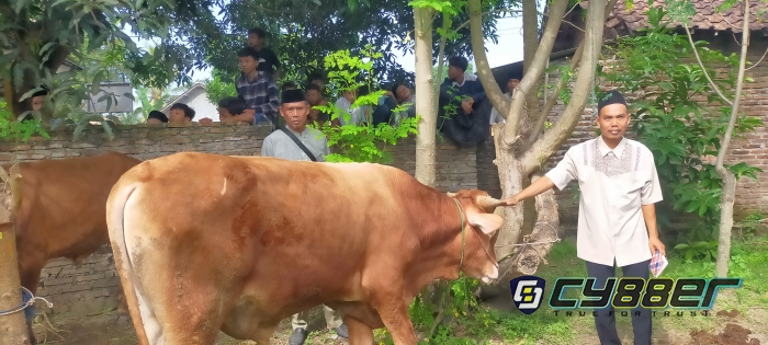 H.Nurudin Sebut Idul Adha Kali Ini Terjadi Peningkatan Jumlah Hewan Qurban Pasca Pandemik