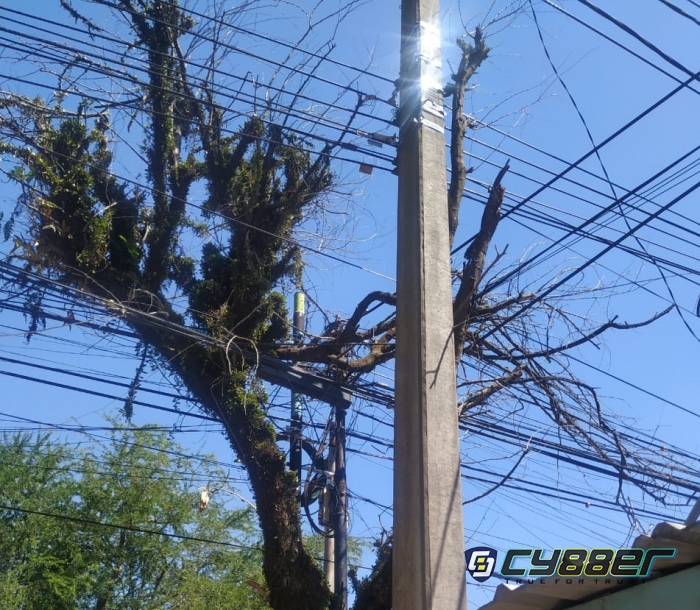 Dinilai Membahayakan, Warga Minta Pohon dan Ranting yang Sentuh Kabel Listrik di Cibabat Cimahi Dipotong
