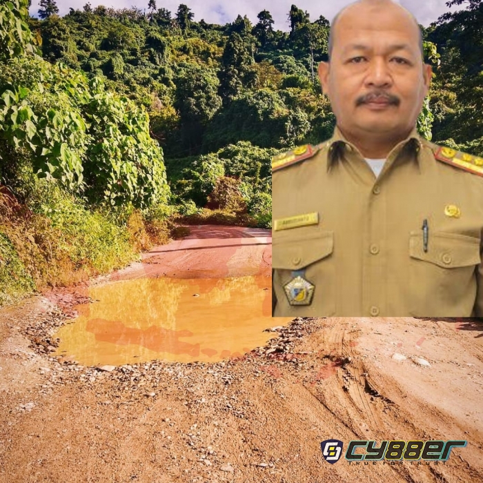 Pemenang Tender Di Batalkan, Anleg Minta Gubernur Copot Kabid Bina Marga