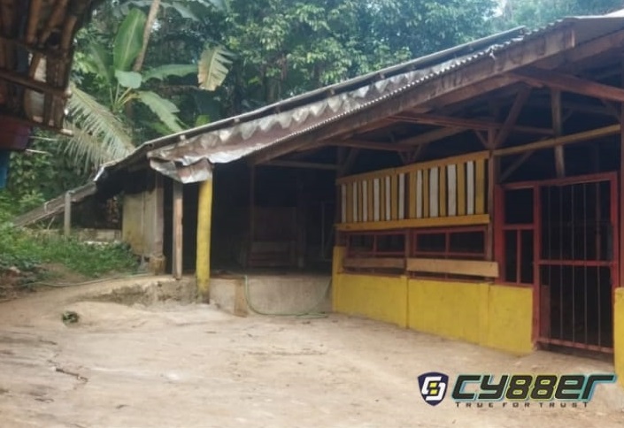 Sapi Program Ketahanan Pangan di Desa Petirhilir Hilang, Inspektorat: Ketua UD Jaya Harus Segera Kembalikan Uang 