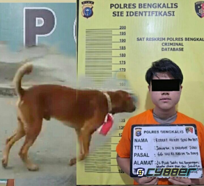 RH Ditetapkan Tersangka Setelah Pasang Bendera Merah Putih ke Leher Anjing 