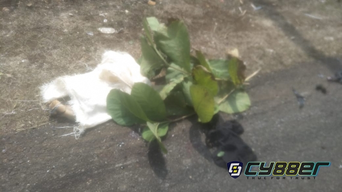 Alami Kecelakaan, Warga Hargosari Meninggal di Tempat