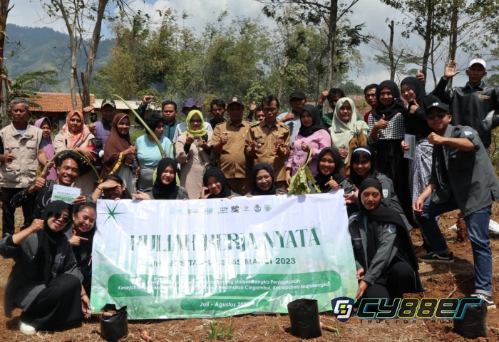 HUT RI ke 78 KLHK Luncurkan Kewirausahaan Berbasis Agribisnis Talas Beneng.