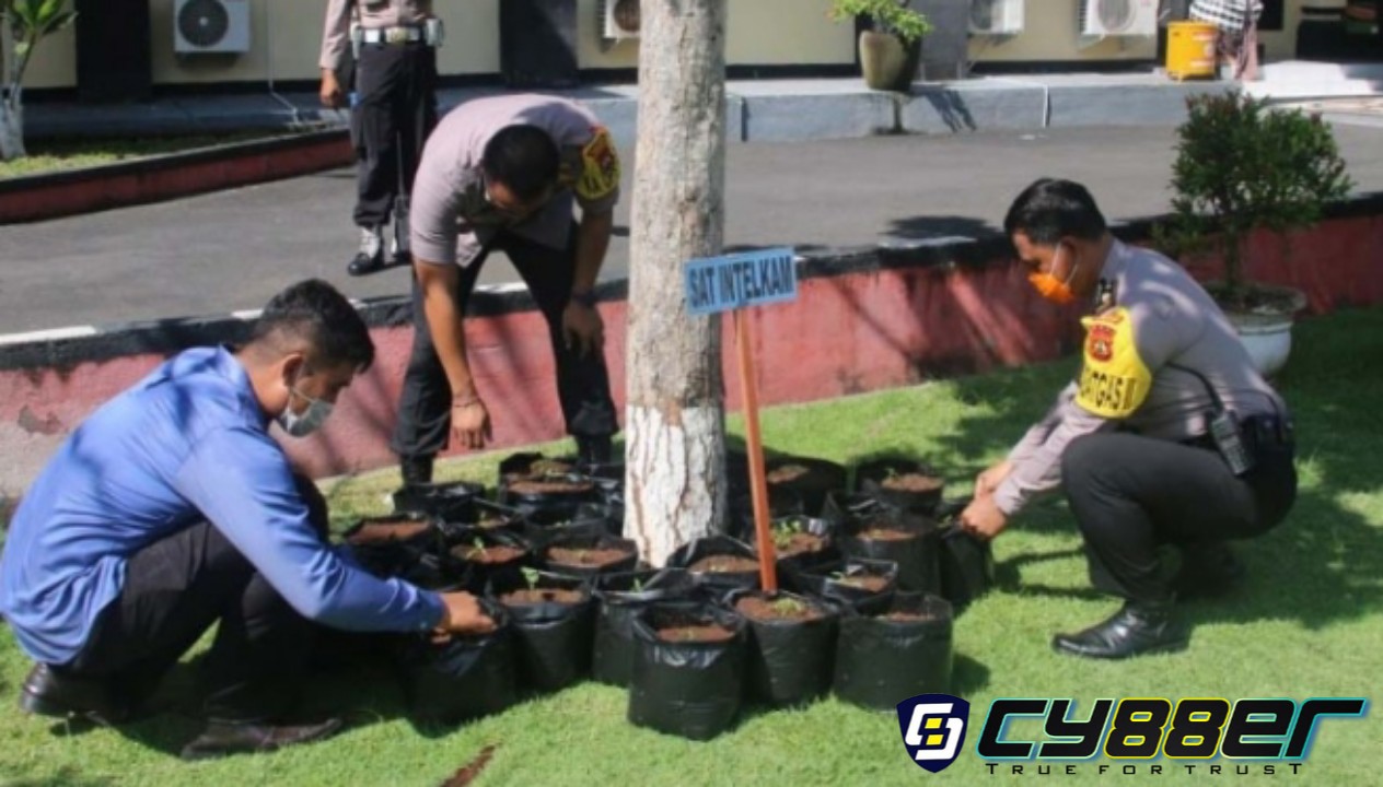 Antisipasi Krisis Pangan Akibat Covid 19, Polres Gianyar dan Jajaran Menanam Tanaman Hortikultira di Halaman Polres