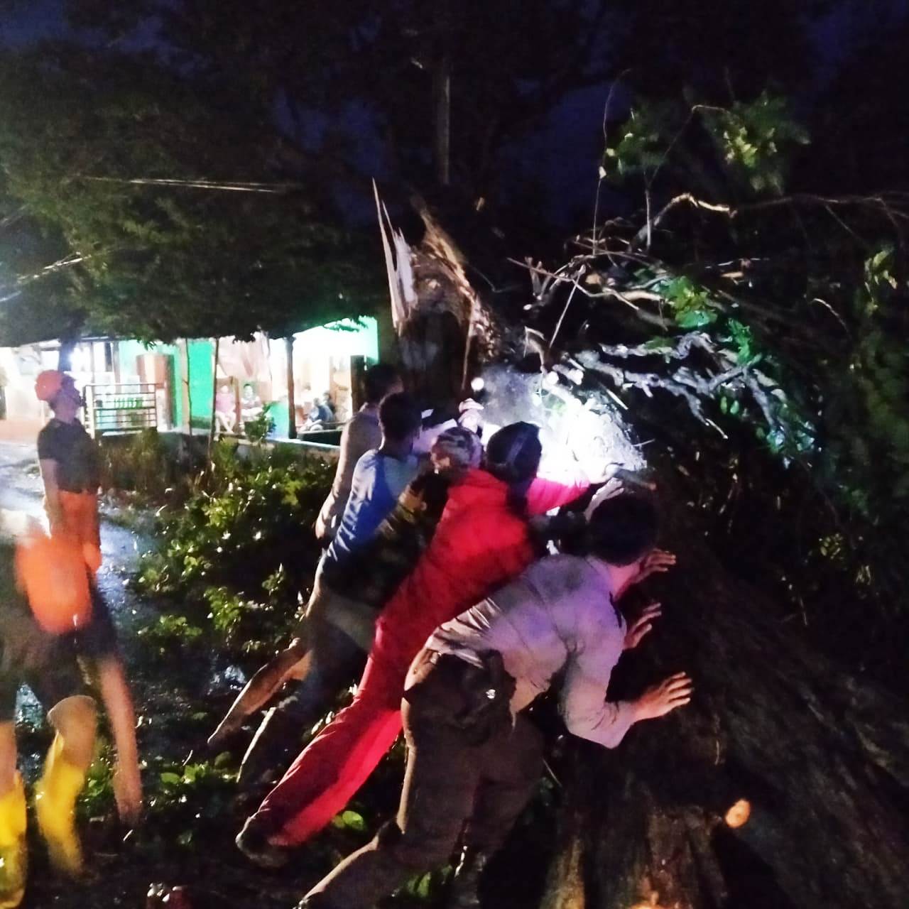 Satsabhara Polres Situbondo Evakuasi Pohon Tumbang Di Desa Klatakan Kendit