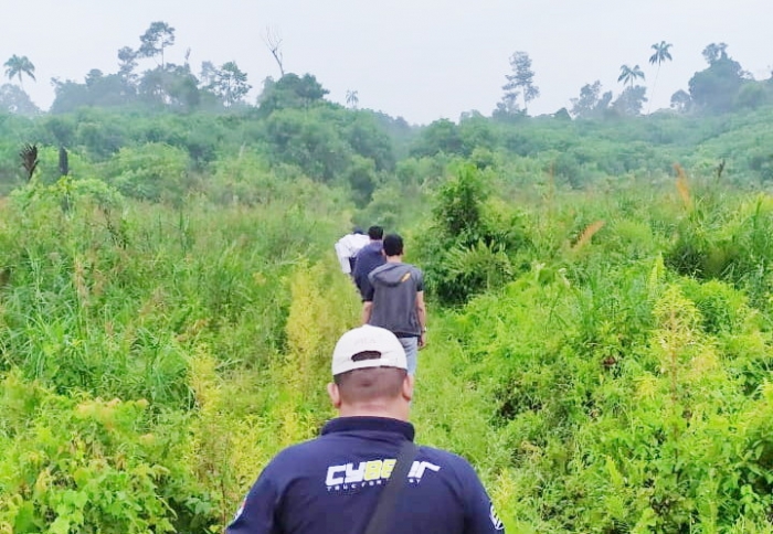 "Diduga Sekedar Bela Diri" Klarifikasi Humas PT Diamond Raya Timber Dikritik