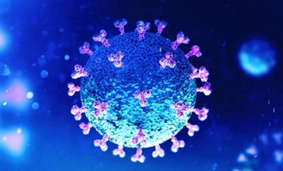 Klaster Covid-19 PT Indah Kiat, Perusahaan Penyumbang Pandemi Terbesar