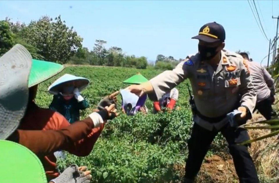 Polres Majalengka Bantu Petani Panen Cabai,  Sosialisasikan Protokol Kesehatan 3M