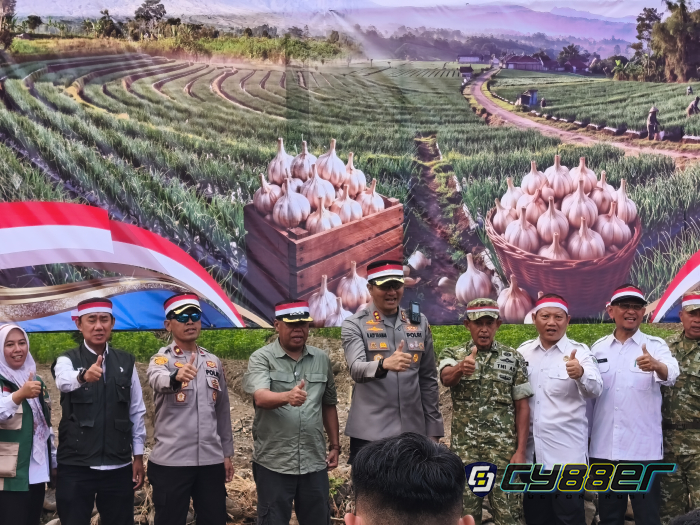 Majalengka Genjot Swasembada Bawang Putih, Demplot Kementan Dibangun di Dua Lokasi