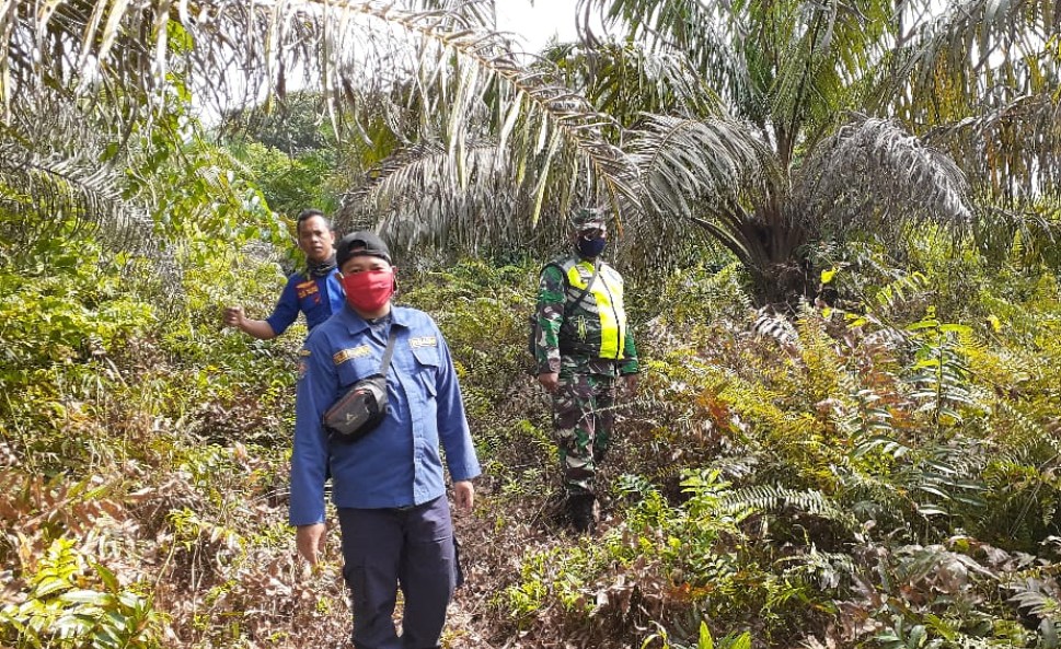 Babinsa Desa Buluh Manis Bersama Damkar Mandau Lakukan Patroli Karlahut untuk Memastikan Titik Api