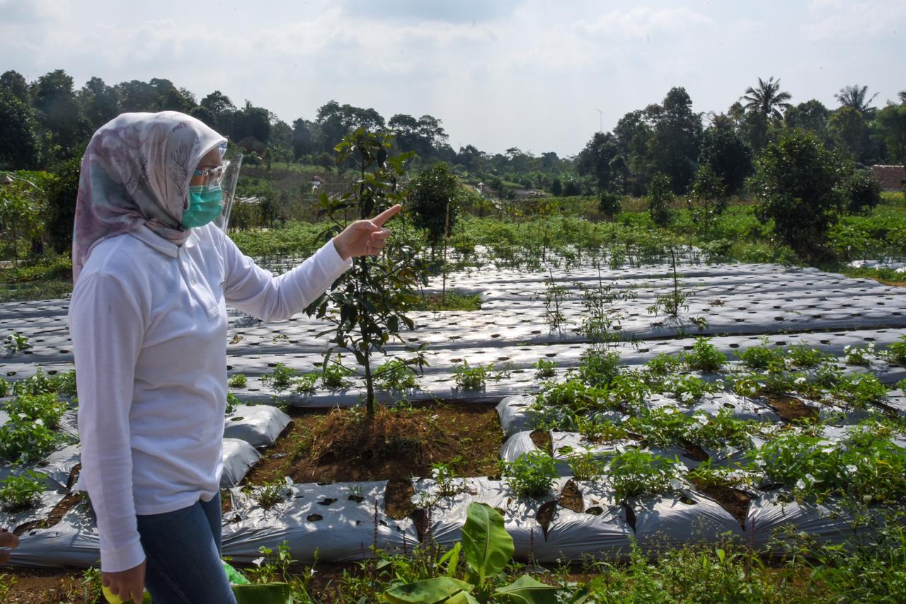 Bupati Purwakarta Pastikan Stok Bahan Pangan Aman di Era New Normal