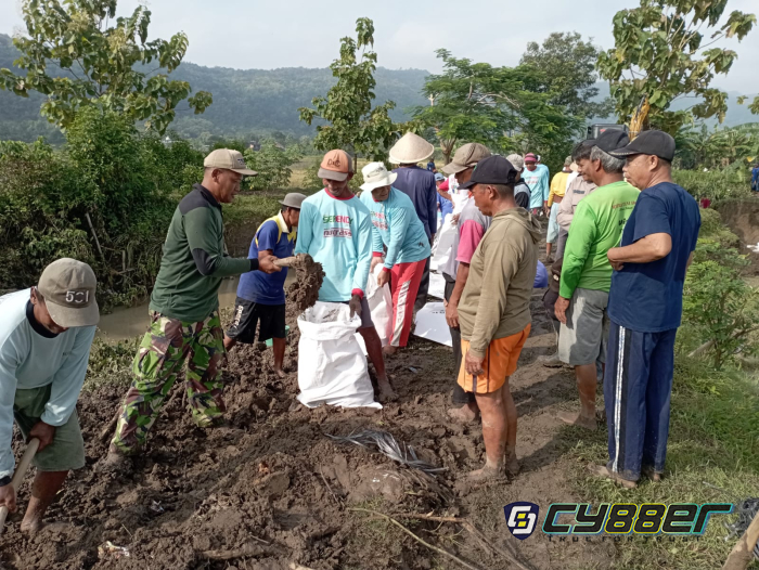 Babinsa Koramil 20/Cawas Bersama Warga Gotong Royong Perbaiki Tanggul Sungai Padangan