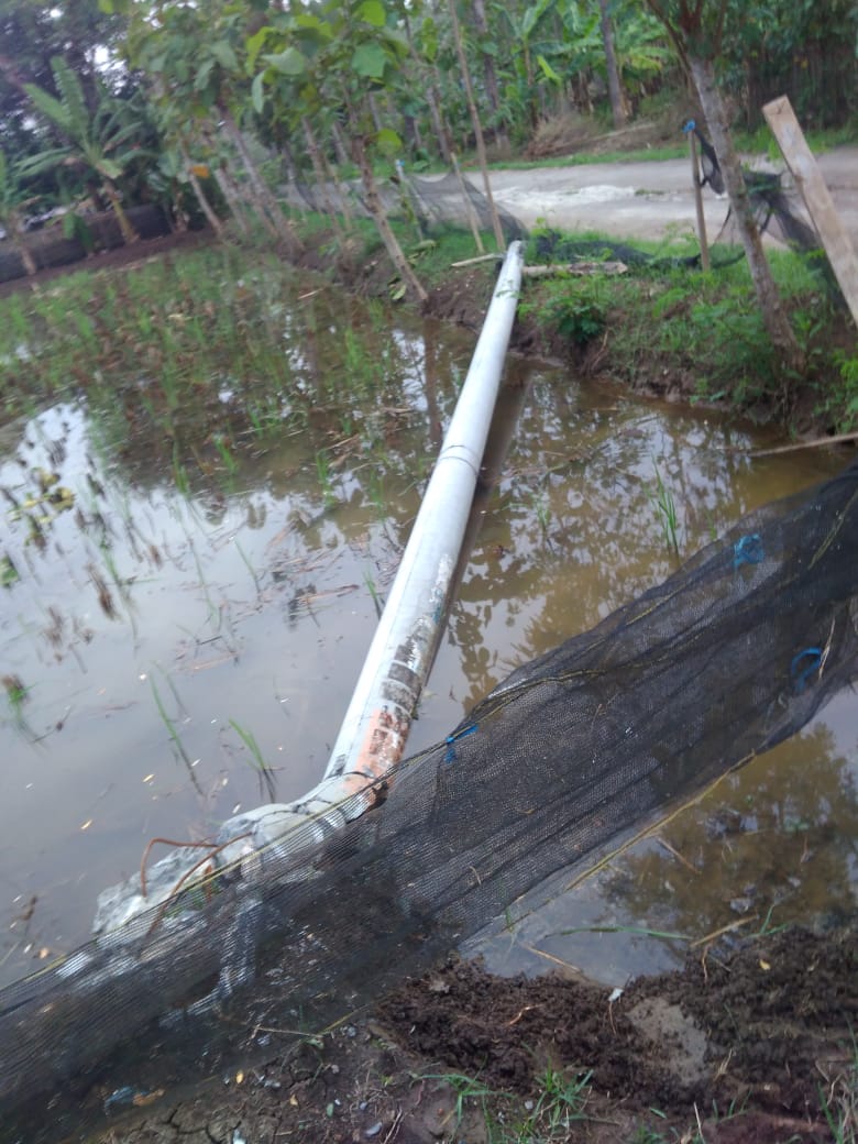 Robohnya Tiang Listrik Cemaskan warga Desa Sliyeg