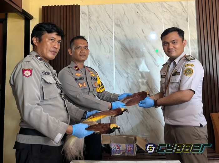 Awetan Cenderawasih Berhasil Ditahan Saat Pengawasan Kapal KM. Tatamailau
