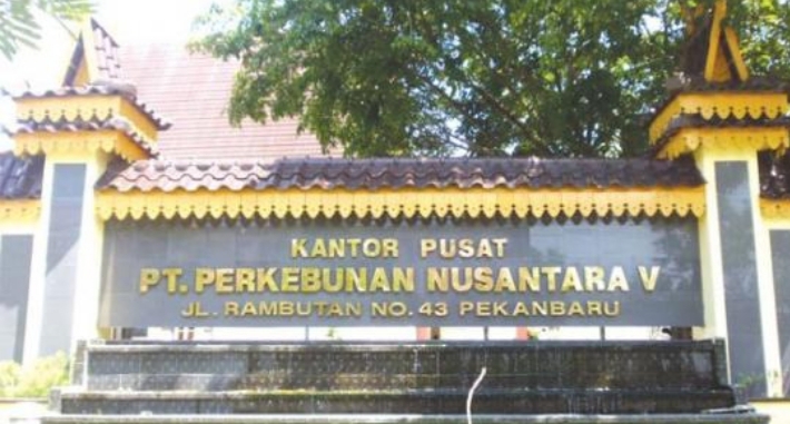 PMII Kota Pekanbaru : PTPN V Adalah Pencuri yang sebenarnya, Terkait Penahanan Ibu Rica yang Mengambil 3 Tandan Sawit Demi Bertahan Hidup