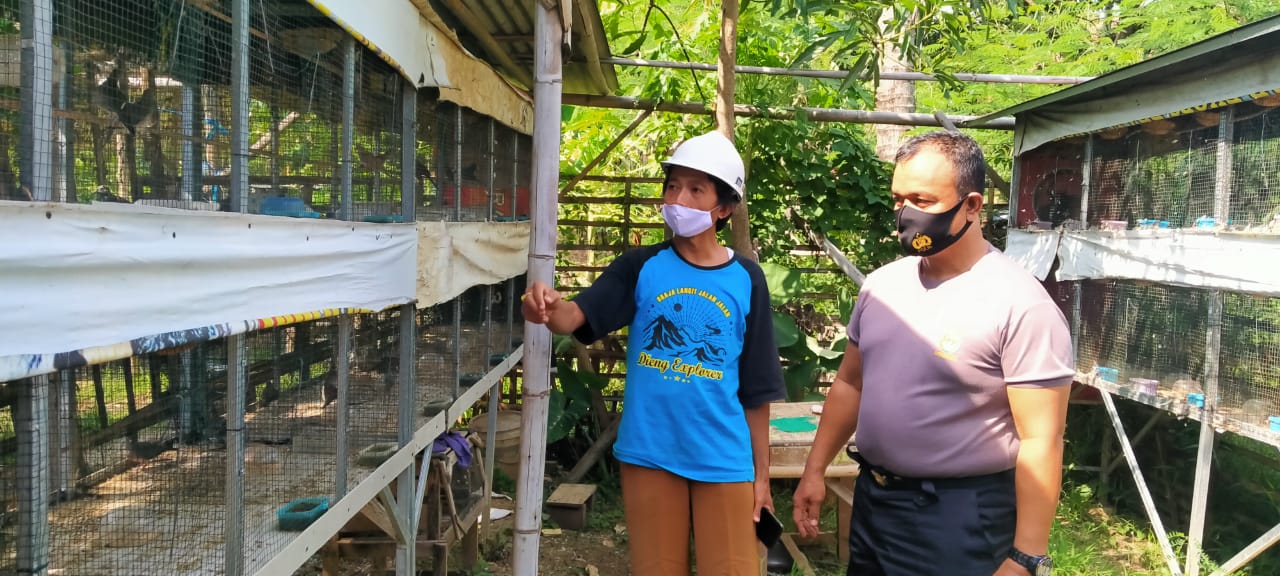 Ditengah Kesibukan Yang Padat Anggota Polri Kunjungi Ternak Burung Perkutut