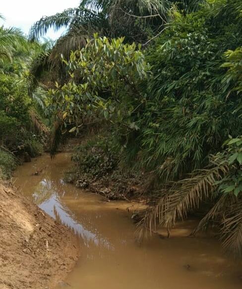 Dugaan PT. BSS Langgar Amdal, Legmas Pelhut Tuntut DLH dan DPRD Turun Tangan