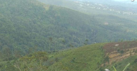 BKPH Manglayang Timur, Siap Hijaukan Kembali Blok Awi Nyawana dan Tertibkan KTH