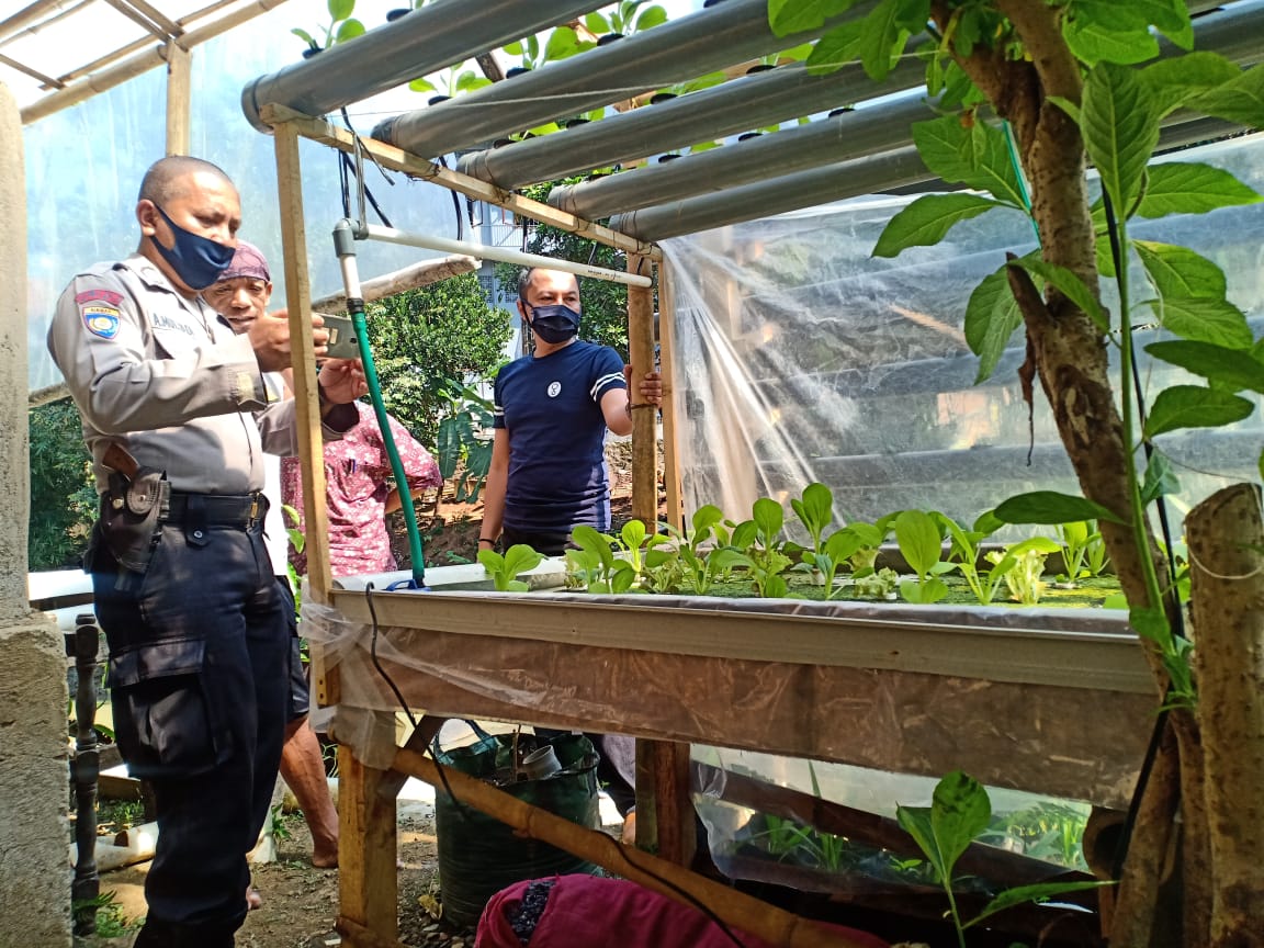 Bhabinkamtibmas Bersama Lurah  Talun Silaturahmi Ke Petani Hidroponik di Lembur Tohaga Lodaya