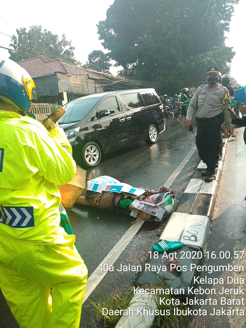 Satu Pengemudi Ojol Tewas Tertimpa Pohon Tumbang