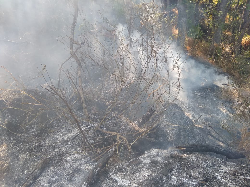 Kebakararan Taman Nasional Gunung Ciremai, Petugas bersama Masyarakat berjibaku memadamkan Api