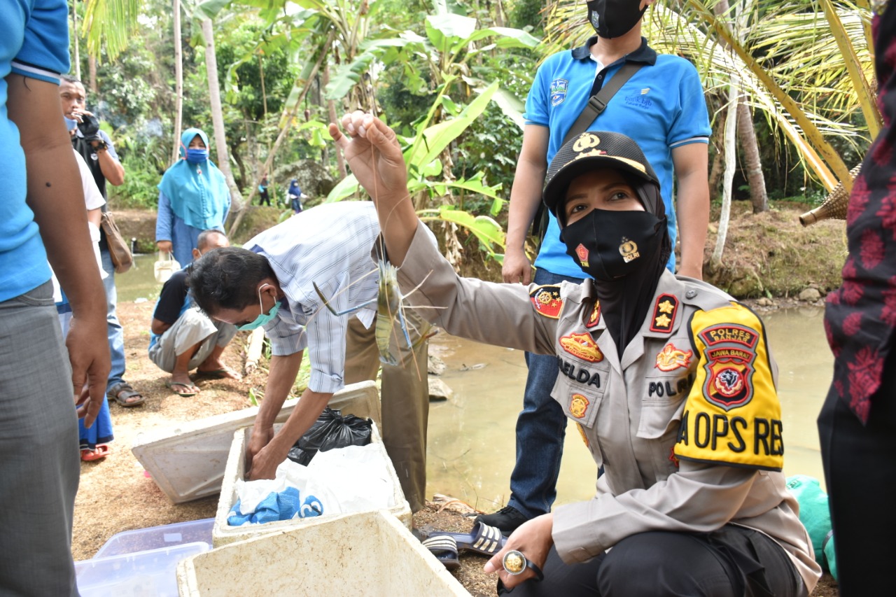 Kapolres Banjar Bersama Walikota Banjar Panen Raya Udang Galah
