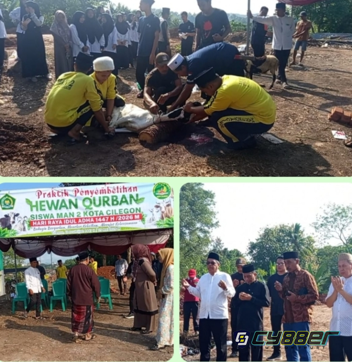 Praktik Penyembelihan Hewan Qurban, MAN 2 Kota Cilegon Tanamkan Nilai Keikhlasan dan Kepedulian Sosial