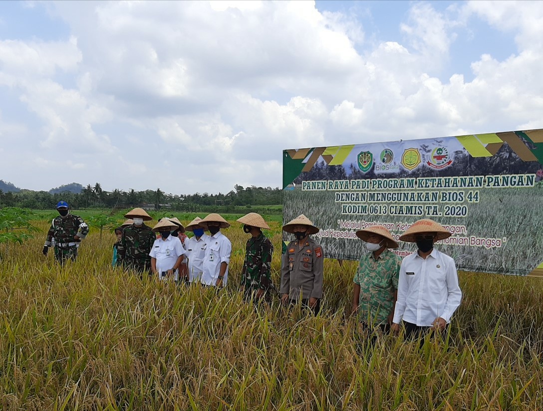 Penanaman Pohon di Bantaran Sungai Ciseel, Kapolsek Banjarsari Polres Ciamis Ingatkan Warga Akan Bahaya Covid-19