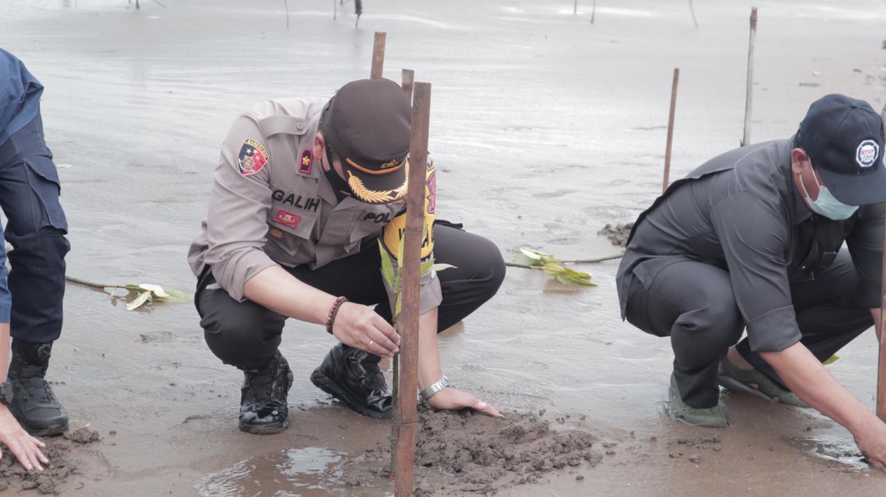Polres Indramayu Baksos dan Penanaman Pohon Mangrove di Pantai Karangsong