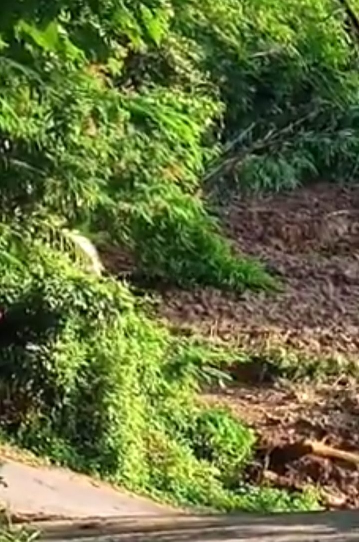 Tanah Bergerak Di Sukaratu Tasikmalaya.
