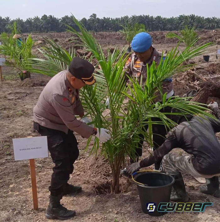 Koppsa-M Launching Replanting Perdana Sawit Tidak Produktif Seluas 20 Hektar