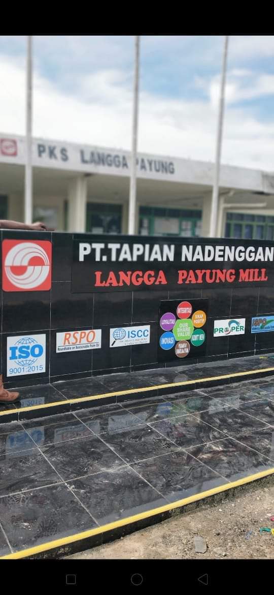Buah TBS Sering Dipulangkan PT, Masyarakat Geram dan Merasa Dirugikan Oleh PTTN Paluta