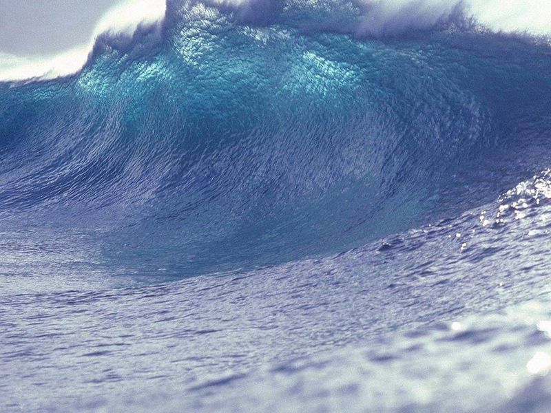 Potensi Tsunami 20 Meter di Pulau Jawa, Ini Kata Kepala Bidang Mitigasi Gempa Bumi dan Tsunami BMKG