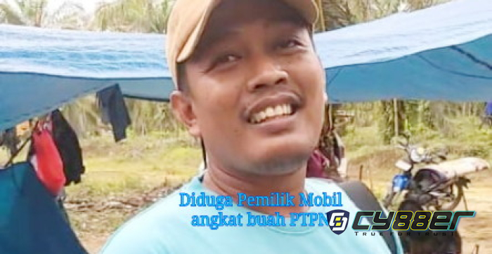 Terciduk Panen Buah Mentah dalam Lahan Konservasi dan DAS, RSPO dan ISPO Diminta Audit PTPN IV Batu Langka