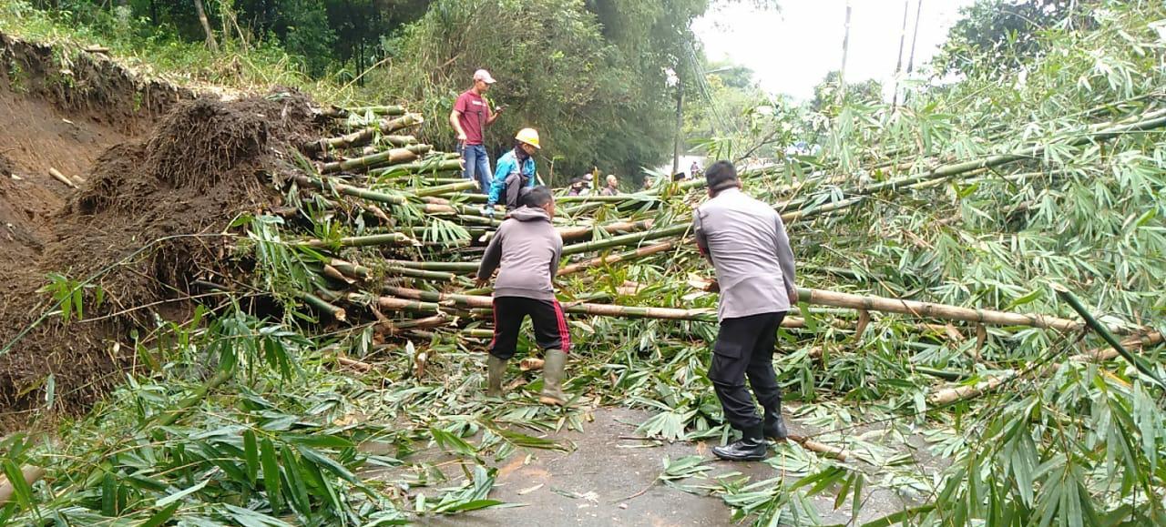 Polisi dan PLN Serta Warga, Evakuasi Pohon Tumbang yang Menimpa Tiang Listrik