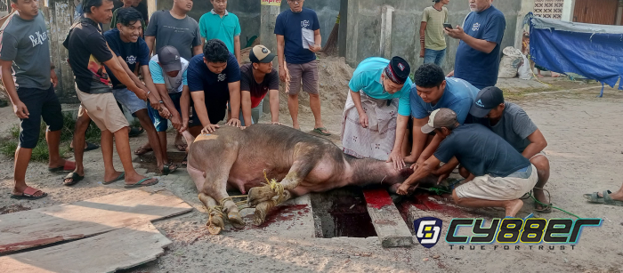Kompak dan Penuh Makna, Warga RW 05 Jombang Wetan Gelar Kurban 12 Ekor Hewan di Idul Adha 1446 H