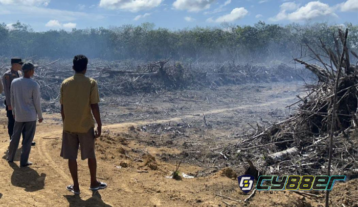 Bakar Lahan untuk Jadi Kebun Sawit, Warga Kuansing Diamankan Polisi