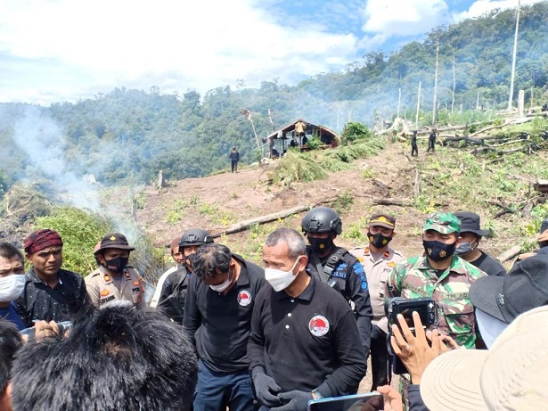7 Haktare Ladang Ganja di Gunung Lauser Dimusnahkan, Polisi Sita 592 Kg Ganja Kering