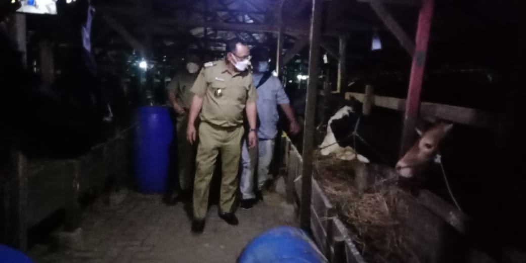 Peternakan Angudi Mukti Mendapat Perhatian dari Walikota Cilegon