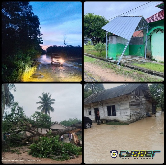 Akibat Hujan Deras Disertai Angin Kencang, Pohon Besar di Desa Harapan JayaTumbang
