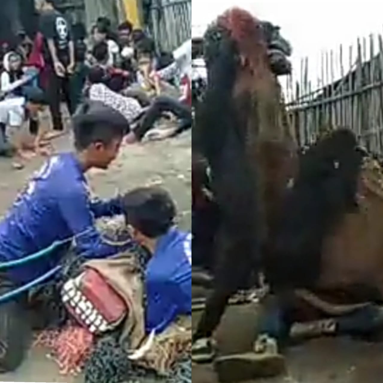 Karapiak Kampung Pelestarian Seni Reak