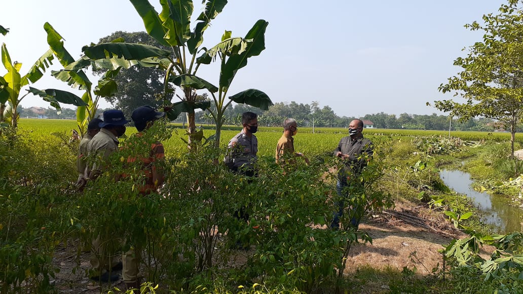 Kapolsek Cikedung Lakukan Pengecekan dan Edukasi Kampung Tanguh