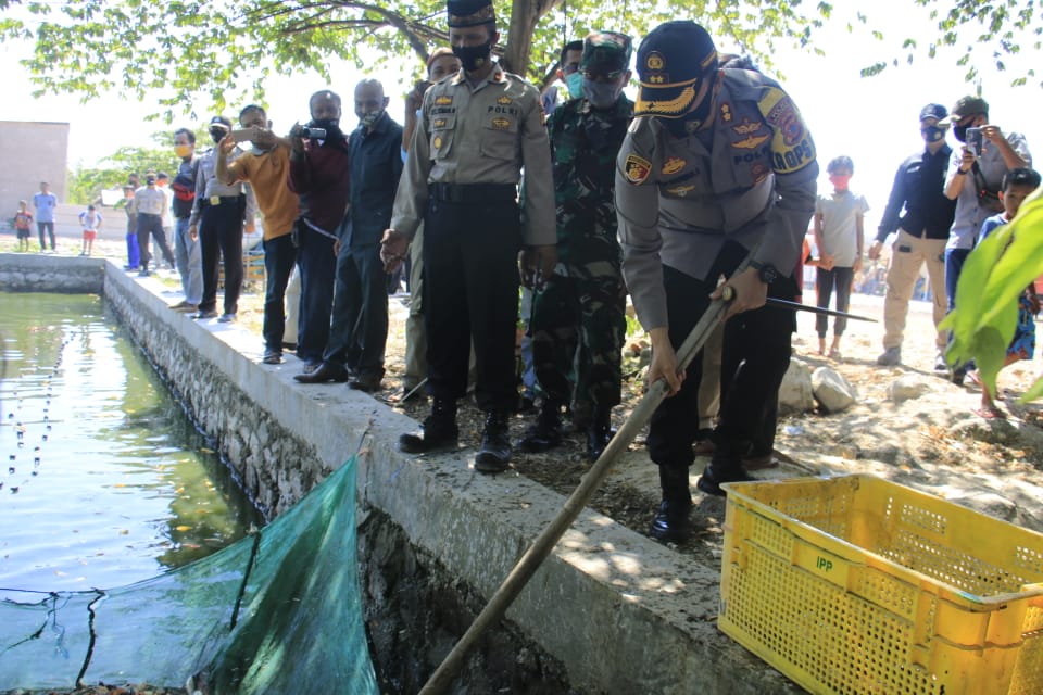 Polres Karawang Pantau Pemotongan Hewan Qurban dan Tinjau Panen Ikan dan Sayuran di Kampung Tohaga Lodaya