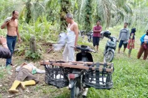 Masyarakat Bukit Kayu Kapur Dumai Dihebohkan dengan Penemuan Mayat di Ladang Sawit